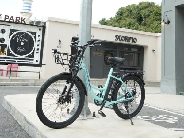 Electric Bike for Adults, Peak 700W Motor 20MPH, 374.4WH Removable Battery 45Miles, 24'' Step Through City Cruiser Ebike for Women/Men/Teens, Commuter E-Bike, 7-Speed, Front Basket - Customer Photo 1