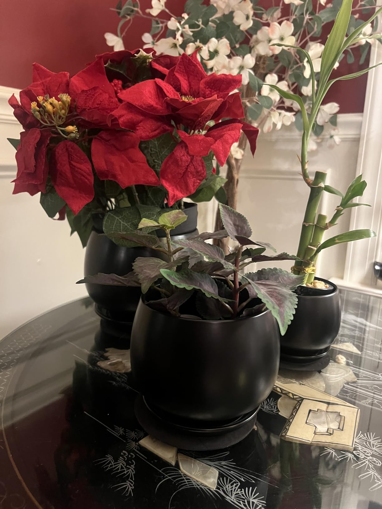 vancasso 3-Pack Ceramic Plant Pots, 3.7/4.8/6.2 Inch Indoor Planters with Saucers & Drainage Hole Planter pots for Indoor Plants and Flower, White Customer Review vancasso 3-Pack Ceramic Plant Pots, 3.7/4.8/6.2 Inch Indoor Planters with Saucers & Drainage Hole Planter pots for Indoor Plants and Flower, White - Customer Photo 2