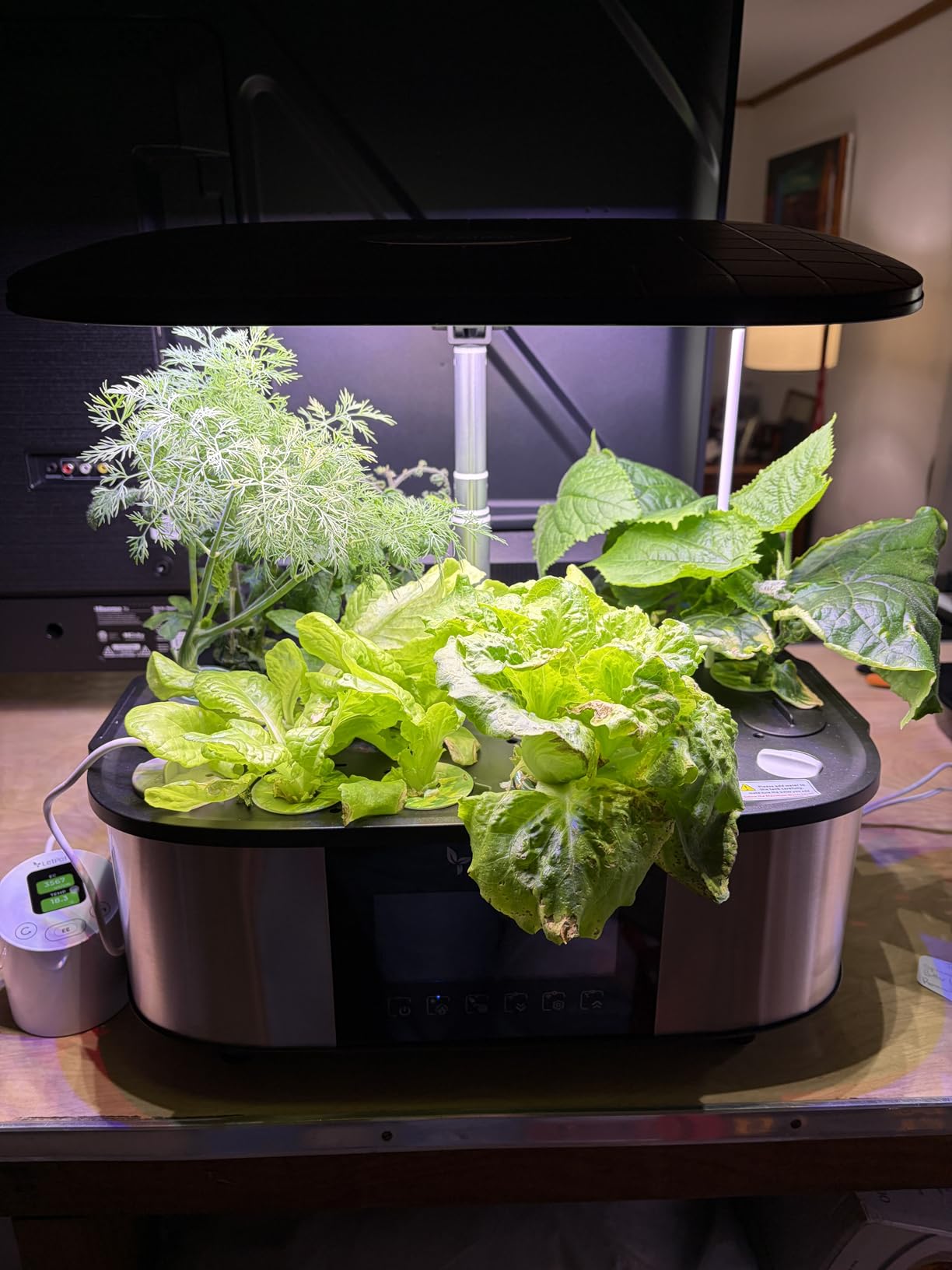 LETPOT Classic Hydroponics Growing System Kit, Indoor Herb Garden, 24W Full-Spectrum LED Grow Light, 12 Pods, Countertop, Plant Lovers Gifts, Kitchen, Harvest, Dual Modes, Up to 16