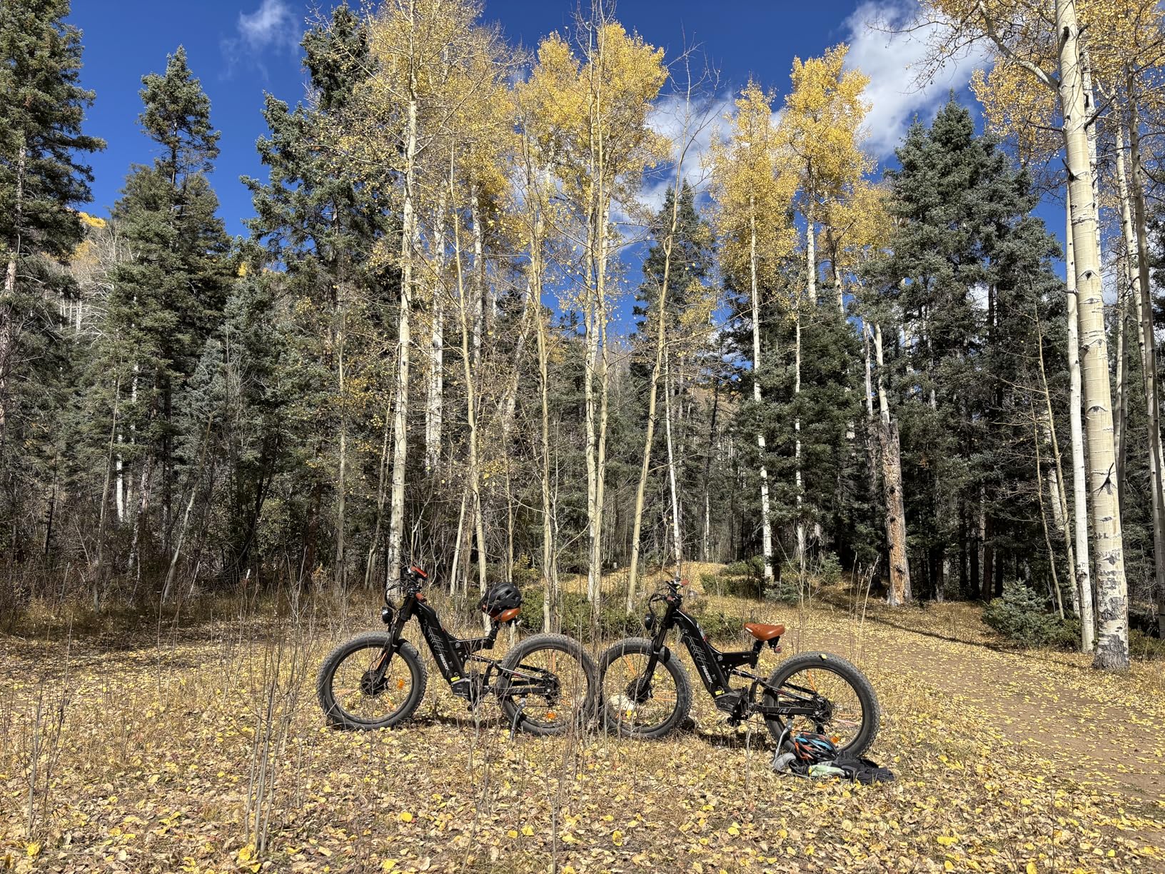 FREESKY 4000W Dual Motor Electric Bike for Adults, 48V 30AH Samsung Cells Battery 120Miles Range, 40MPH AWD Fast E-Bike, 26