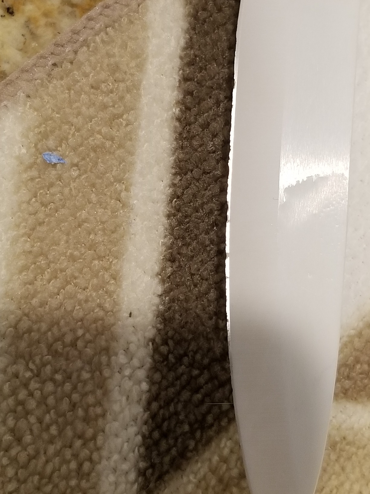 Schaaf Tools Diamond Whetstone Knife Sharpener Complete Kit - Coarse 325/ Fine 1200 Grit, Diamond Sharpening Stone with Non-Slip Base, Chisel Honing Jig & Angle Guide for Knives & Woodworking Tools Customer Review Schaaf Tools Diamond Whetstone Knife Sharpener Complete Kit - Coarse 325/ Fine 1200 Grit, Diamond Sharpening Stone with Non-Slip Base, Chisel Honing Jig & Angle Guide for Knives & Woodworking Tools - Customer Photo 1