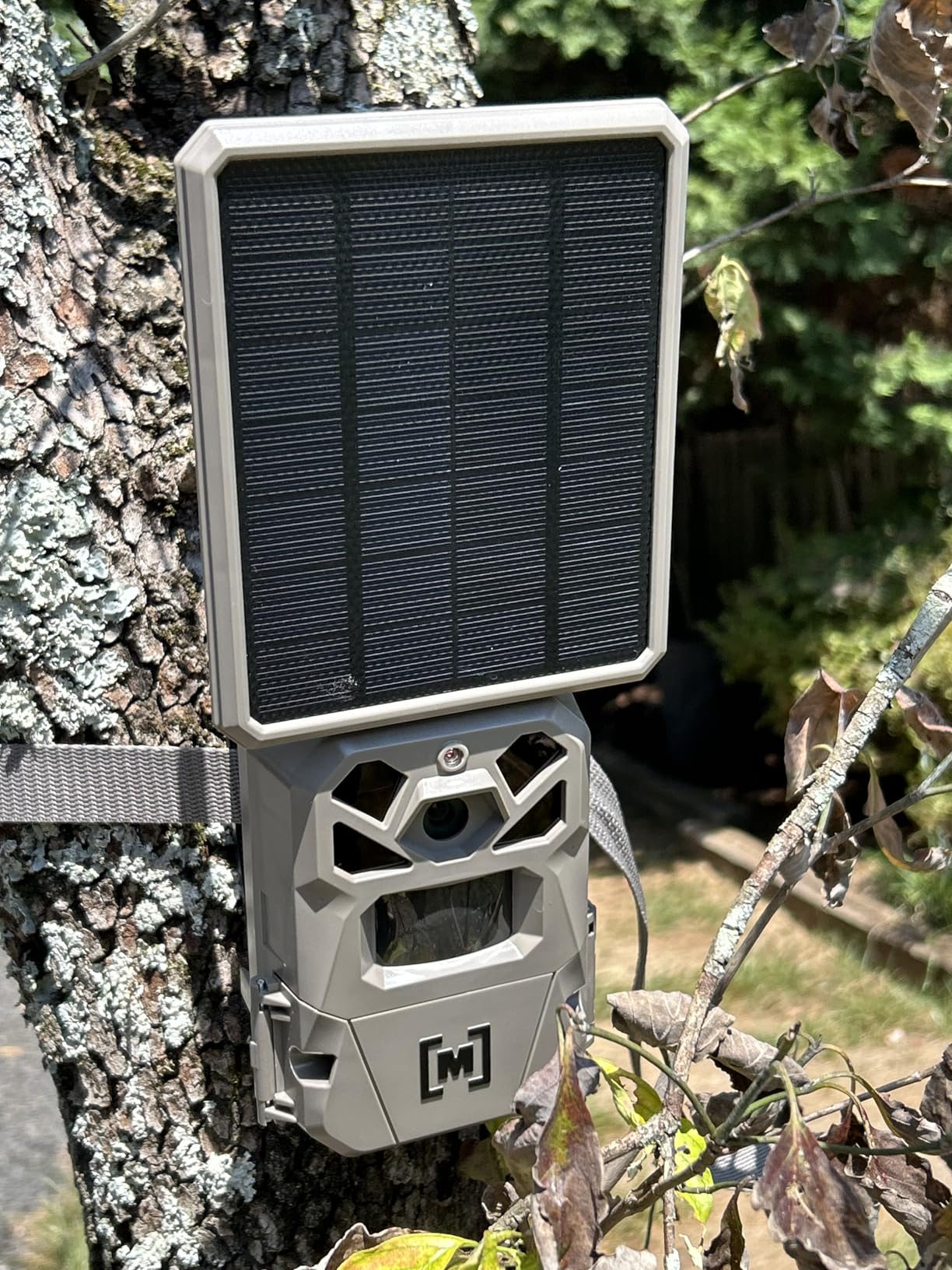 Moultrie Edge Solar Cellular Trail Camera - Integrated Solar Panel with Battery - 40MP - 1080p Video - Night Vision - Multi-Carrier LTE Auto-Connect - Built-in Memory - 0.4s Trigger Speed customer photo 1