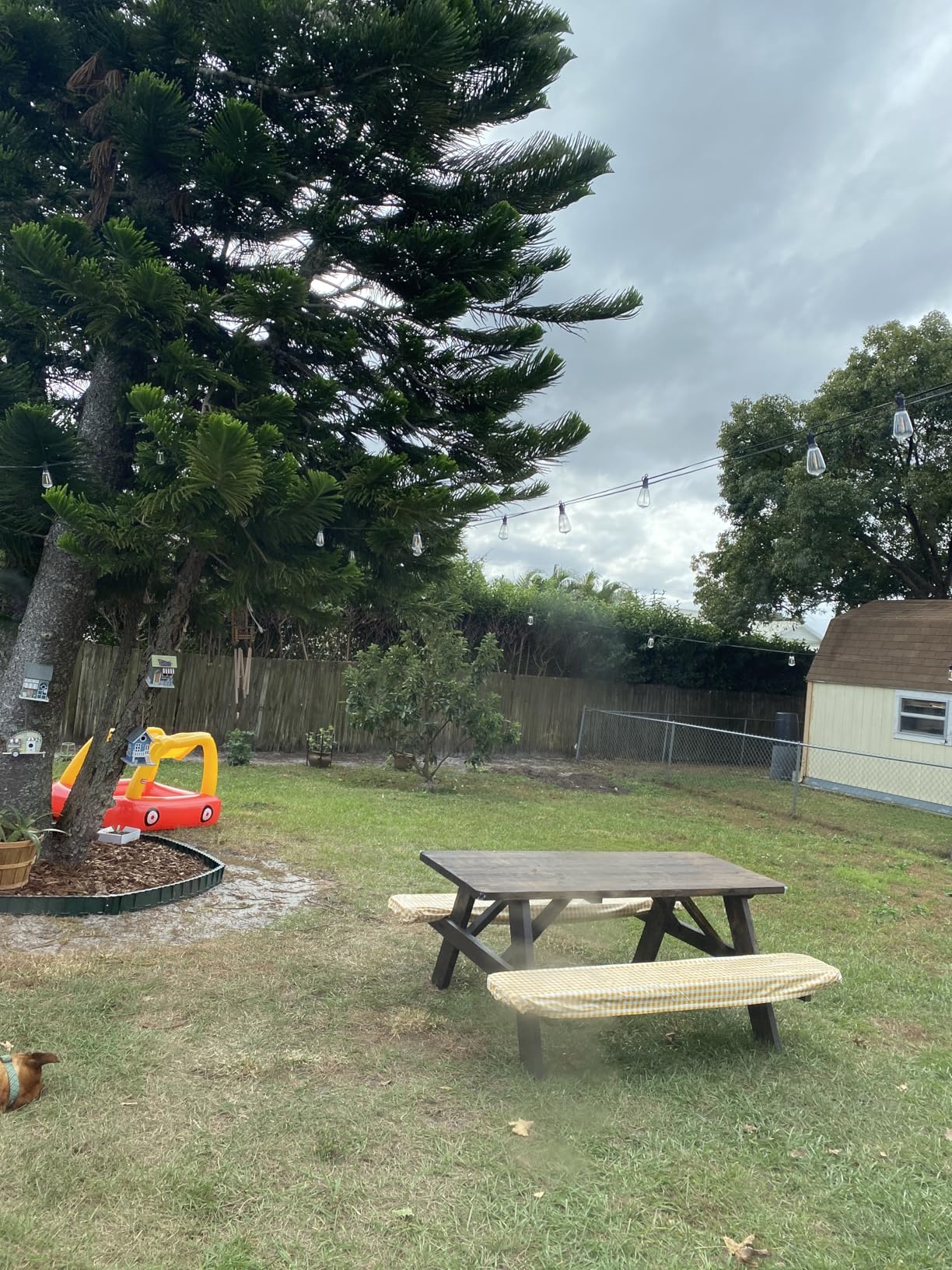 Brightown 100FT Solar String Lights Outdoor Waterproof with Remote, 31+2 LED Shatterproof Bulbs, Dimmable & Timable, 3 Light Modes - Commercial Grade Patio Lights for Garden Backyard Party Decor - Customer Photo 1