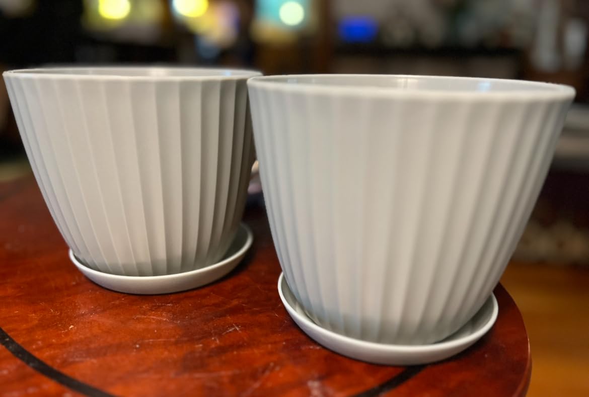 Terracotta 6-Inch Plant Pots with Drainage & Saucers 3 Pack, Indoor & Outdoor Planters for Houseplants, Herbs, and Flowers, Durable & Weatherproof Material, Stackable, Lightweight, Minimalist Design - Customer Photo 1