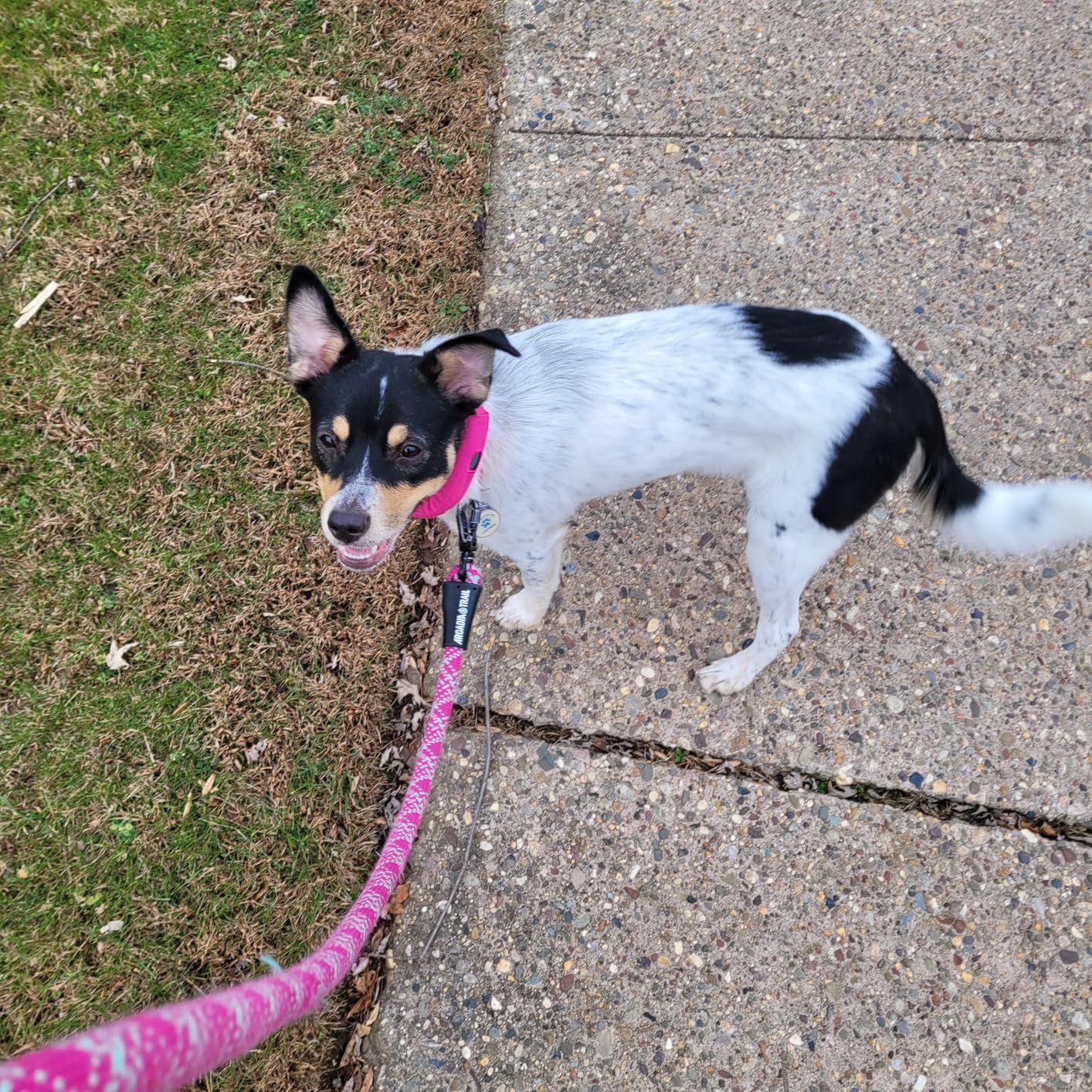 Product Customer Review Product - Customer Photo 1