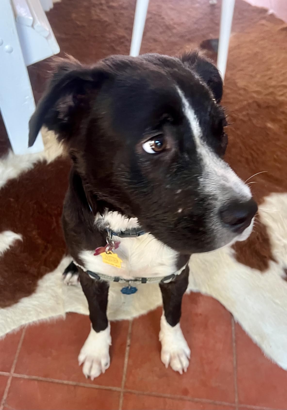 Product Customer Review Product - Customer Photo 2