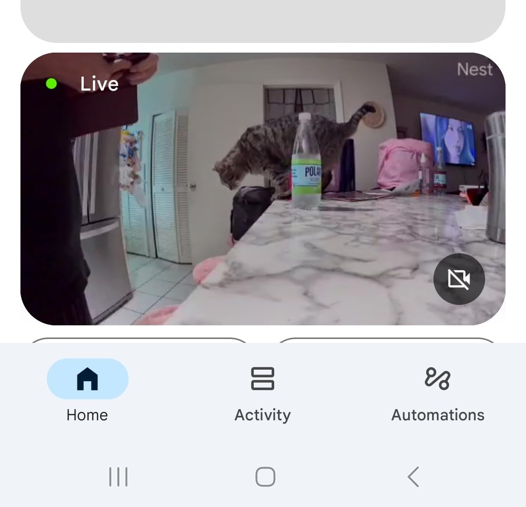 Nest Cam Indoor (Wired, 3rd Gen) - Security Camera with 2K Video and Gemini, Night Vision, 2-Way Audio, Works with Google Home - 2025 Model - Hazel Customer Review Nest Cam Indoor (Wired, 3rd Gen) - Security Camera with 2K Video and Gemini, Night Vision, 2-Way Audio, Works with Google Home - 2025 Model - Hazel - Customer Photo 2