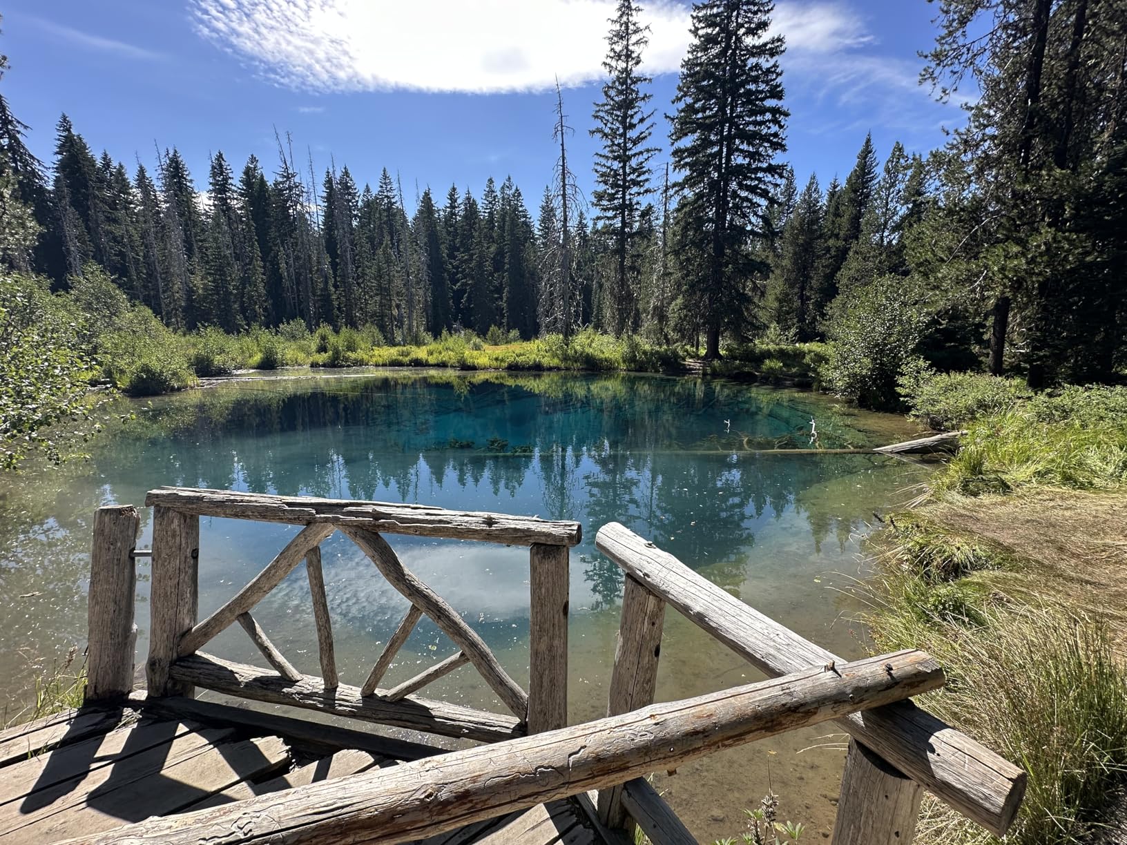 NIKKOR Z 24-70mm f/2.8 S II | The World's First Internal Zoom f/2.8 Full-Frame 24-70mm Zoom Lens | Nikon USA Model - Customer Photo 2