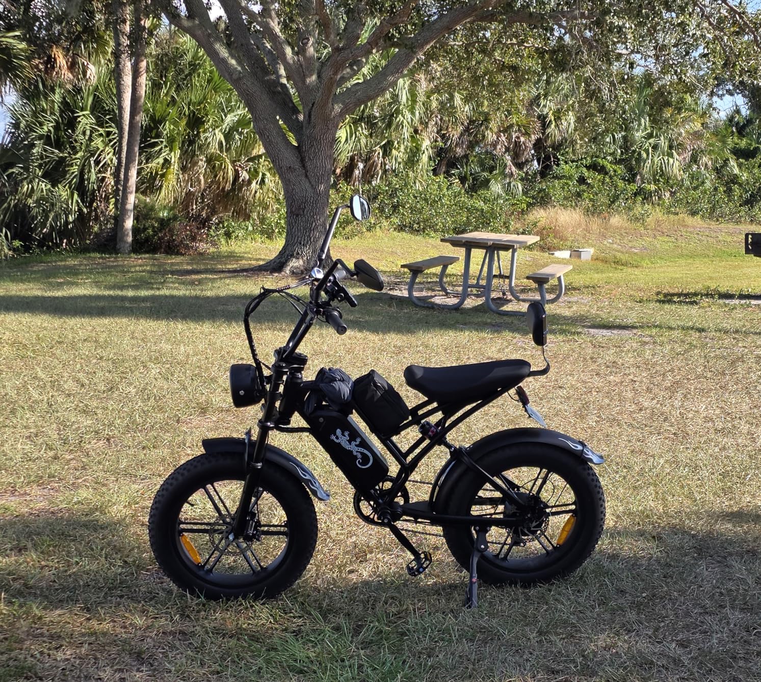 Electric Bike for Adults and Teens with 500W/750W/1000W Peak Motor, 14