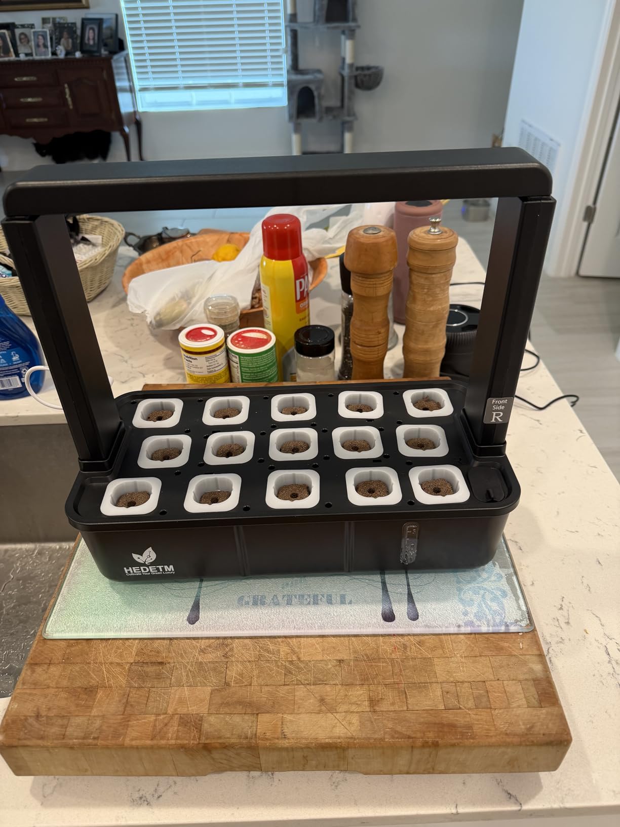 Indoor Garden Hydroponics Growing System: 15 Pods Plant Germination Kit Herb Vegetable Growth Lamp Countertop with LED Grow Light - Hydrophonic Planter Grower Harvest Lettuce Tents - Customer Photo 1