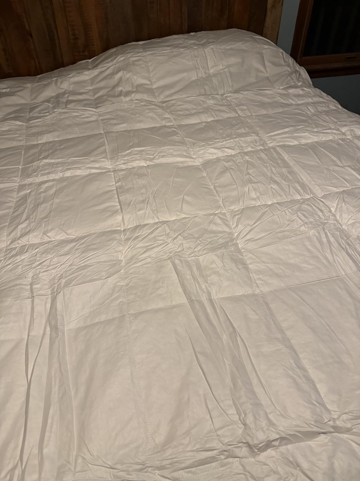 75% Canadian Goose Down Comforter Queen Size, Ultra Soft 100% Cotton Fabric, 850 Fill Power All Season Duvet Insert, Hotel Luxury Bedding Comforters (White,90