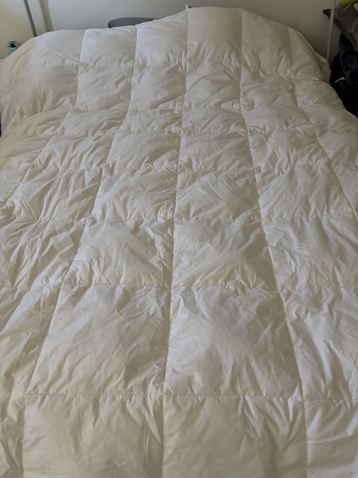 75% Canadian Goose Down Comforter Queen Size, Ultra Soft 100% Cotton Fabric, 850 Fill Power All Season Duvet Insert, Hotel Luxury Bedding Comforters (White,90