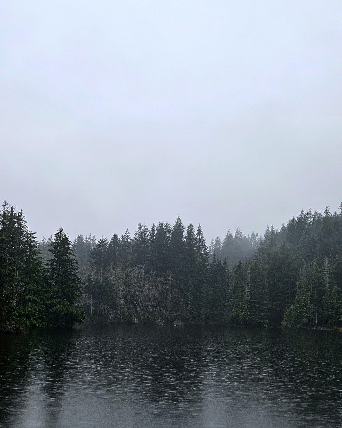 OnePlus 15, 12GB RAM + 256GB Storage, Dual-SIM, Unlocked Android Smartphone, Snapdragon 8 Elite Gen 5, 7300mAh Battery, Infinite Black - Customer Photo 1