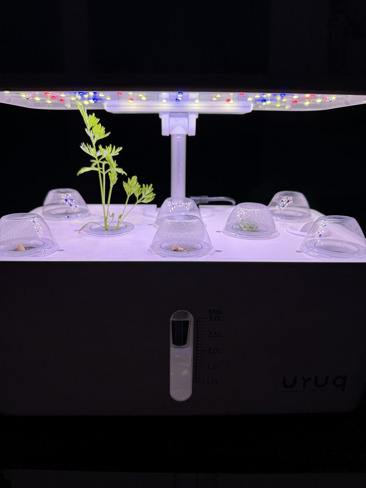 Hydroponics Growing System Garden: 8 Pods Indoor Herb Garden with Grow Light Plants Germination Kit Quiet Automatic Hydroponic Height Adjustable - Gardening Gifts for Women Kitchen - Customer Photo 2