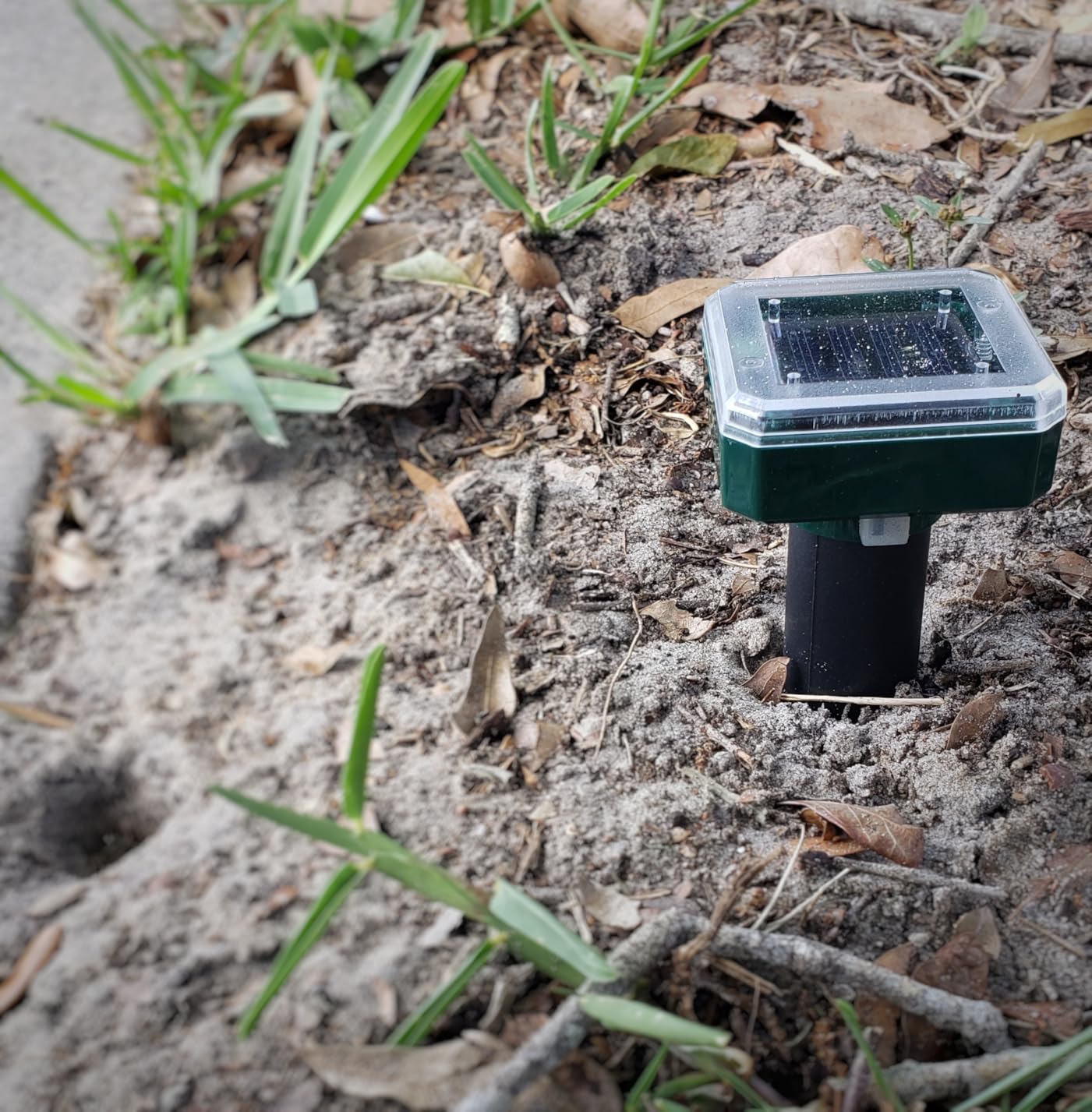 Mole Repellent Solar Powered, Ultrasonic Repeller, Waterproof Sonic Spikes Gopher Vole Groundhog Snake Chipmunk Mole Deterrent Get Rid of Moles in Your Yard (4pack) - Customer Photo 1