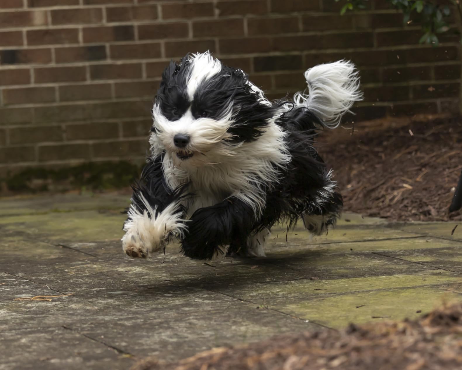 Canon EOS R6 Mark III Body - Customer Photo 1