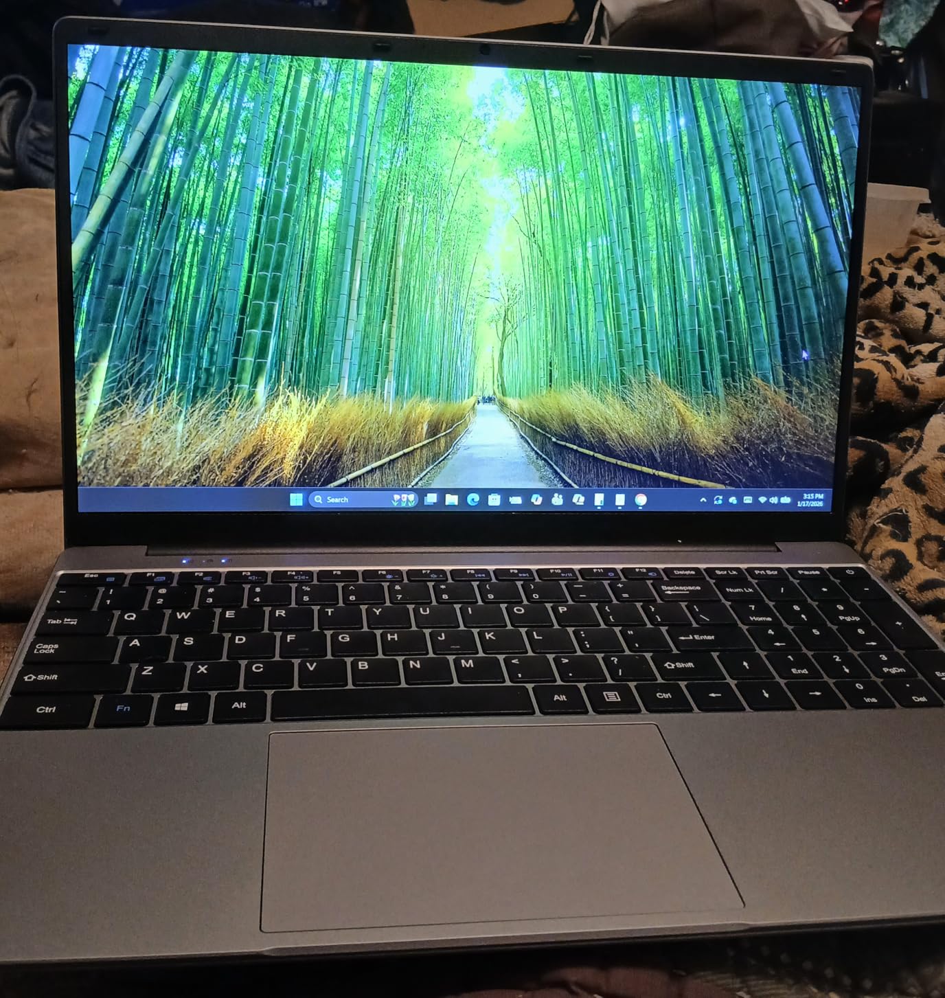 jumper 17.6 Inch Laptop with Office 365, 100% sRGB FHD Display, 16GB RAM 1TB SSD+128GB Storage, N5095 CPU, Windows 11, Backlit Keyboard, 7000mAh, WiFi-6, Laptops Computer for Students and Business - Customer Photo 1