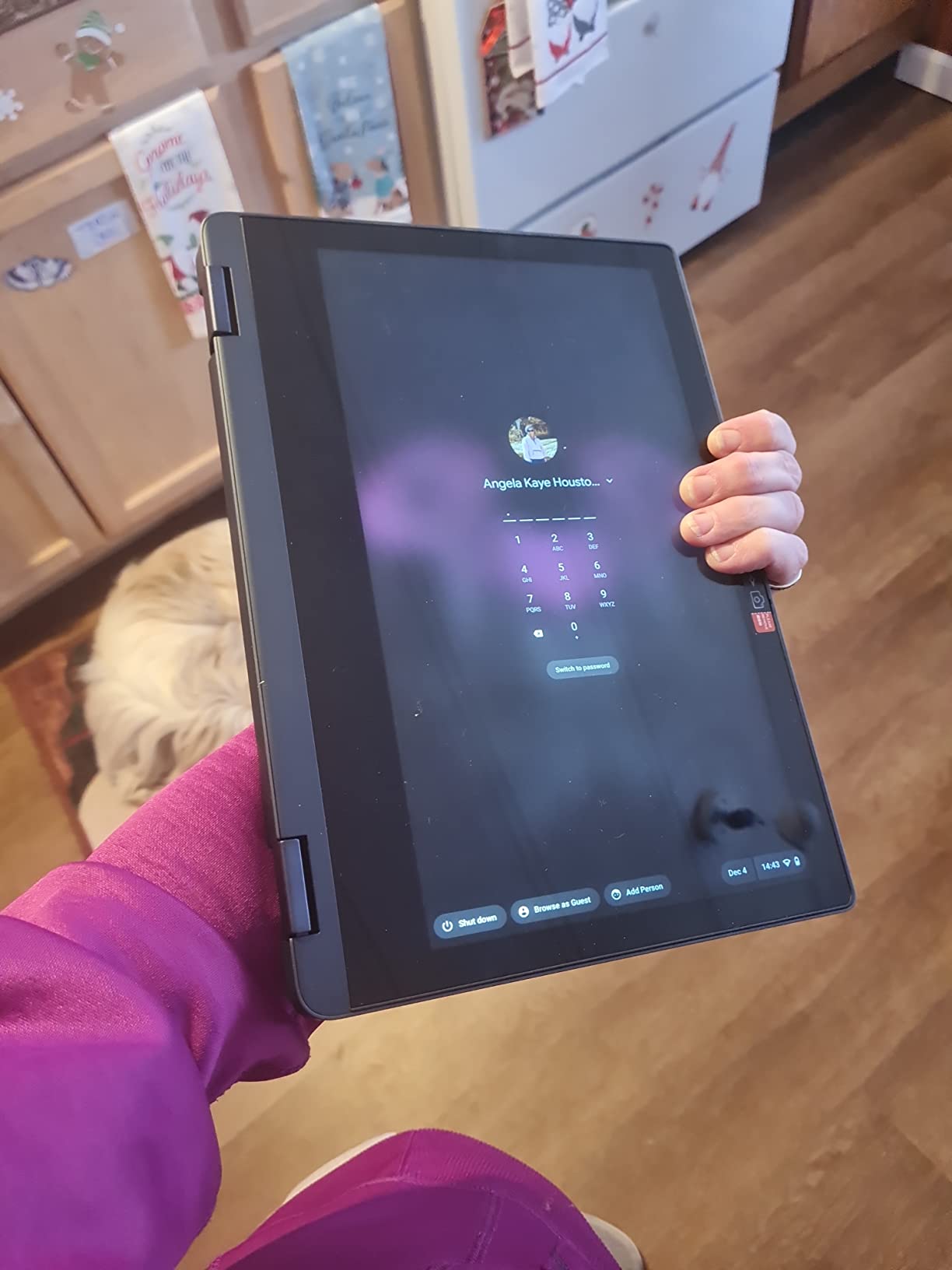 Lenovo IdeaPad Flex 5i Chromebook Plus 2-in-1 - 14 Lenovo IdeaPad Flex 5i Chromebook Plus 2-in-1 - 14