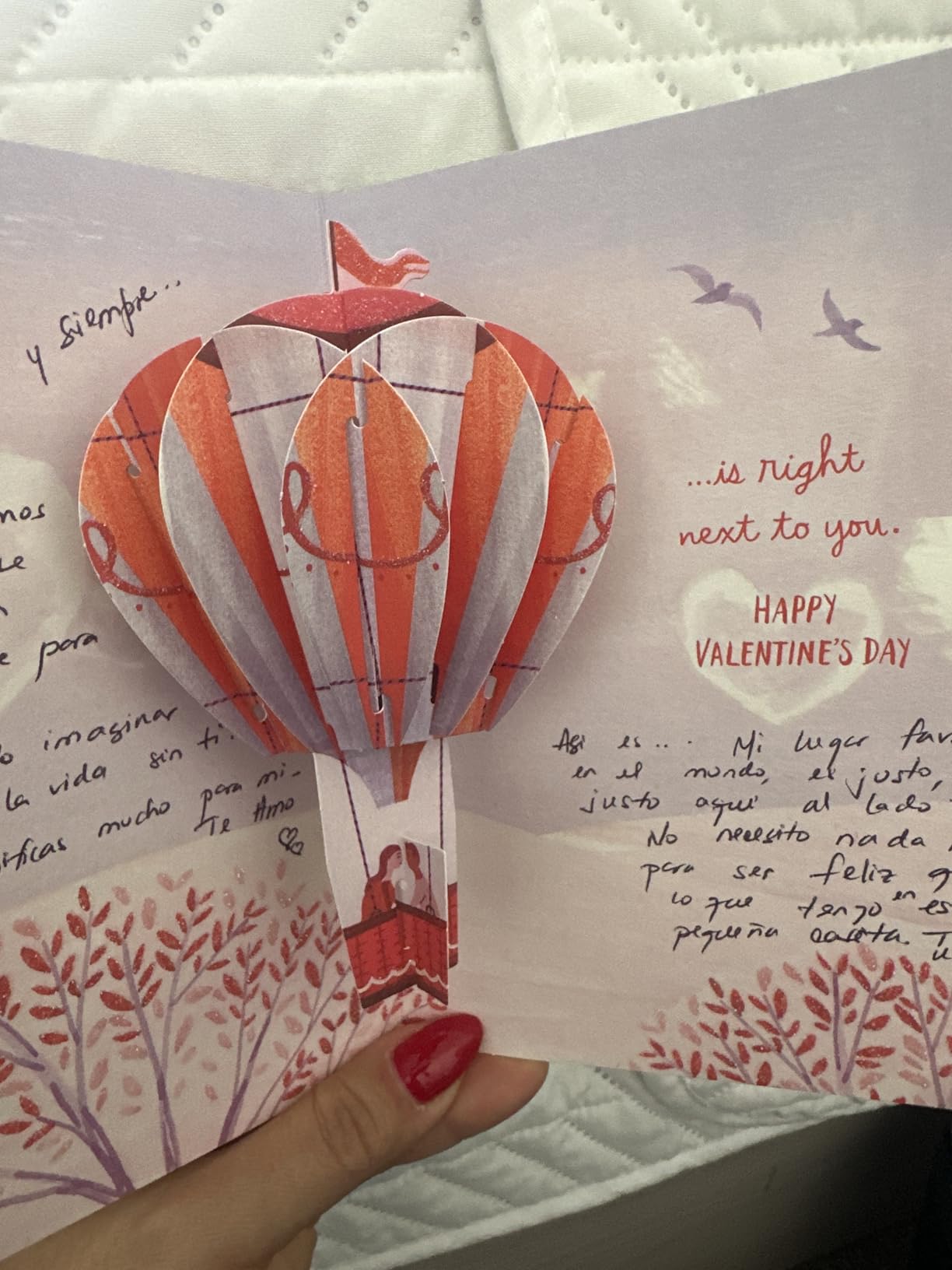 Hallmark Paper Wonder Valentines Day Pop Up Card for Significant Other (Hot Air Balloon Valentine) Customer Review Hallmark Paper Wonder Valentines Day Pop Up Card for Significant Other (Hot Air Balloon Valentine) - Customer Photo 1