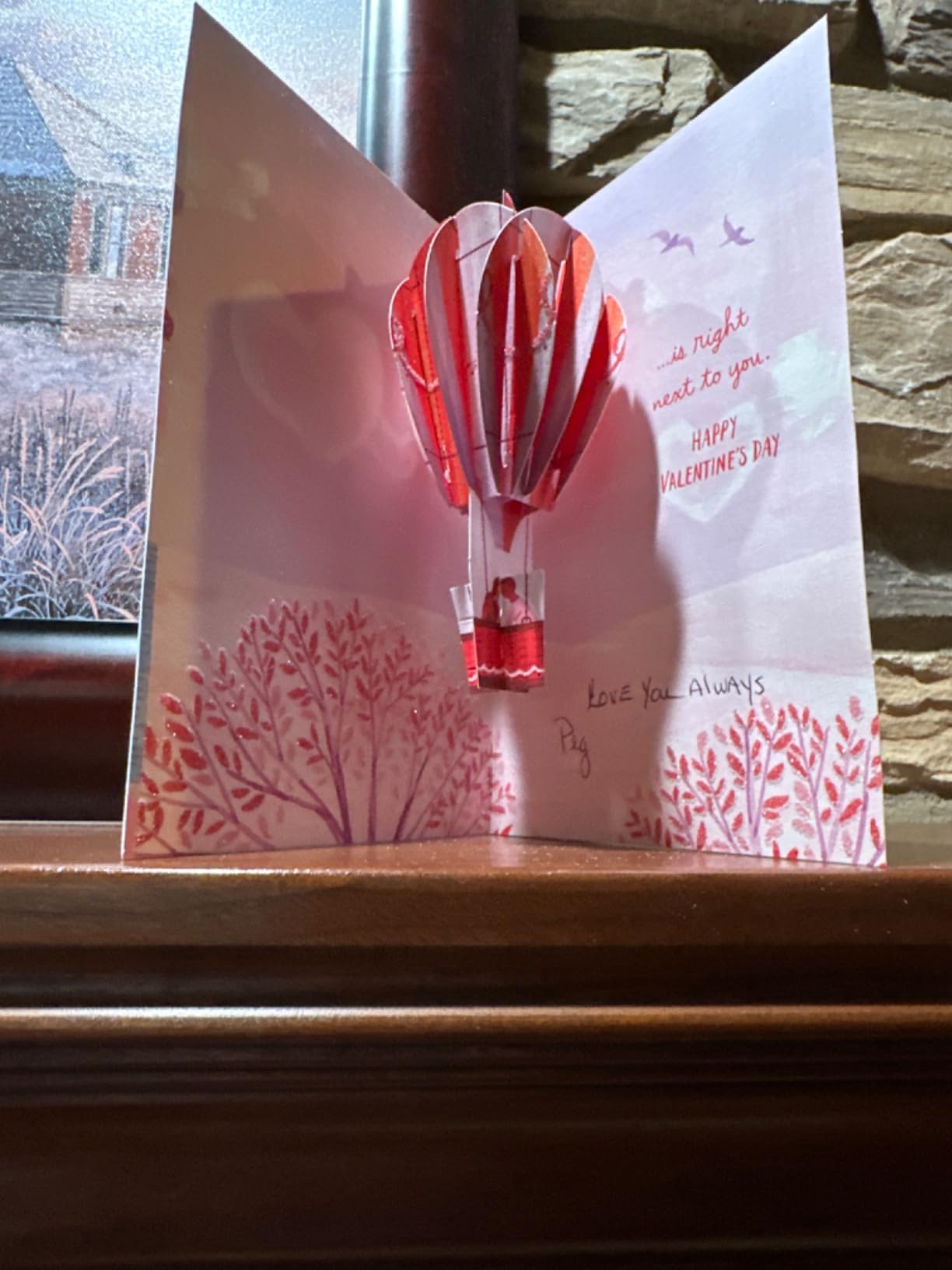Hallmark Paper Wonder Valentines Day Pop Up Card for Significant Other (Hot Air Balloon Valentine) Customer Review Hallmark Paper Wonder Valentines Day Pop Up Card for Significant Other (Hot Air Balloon Valentine) - Customer Photo 2