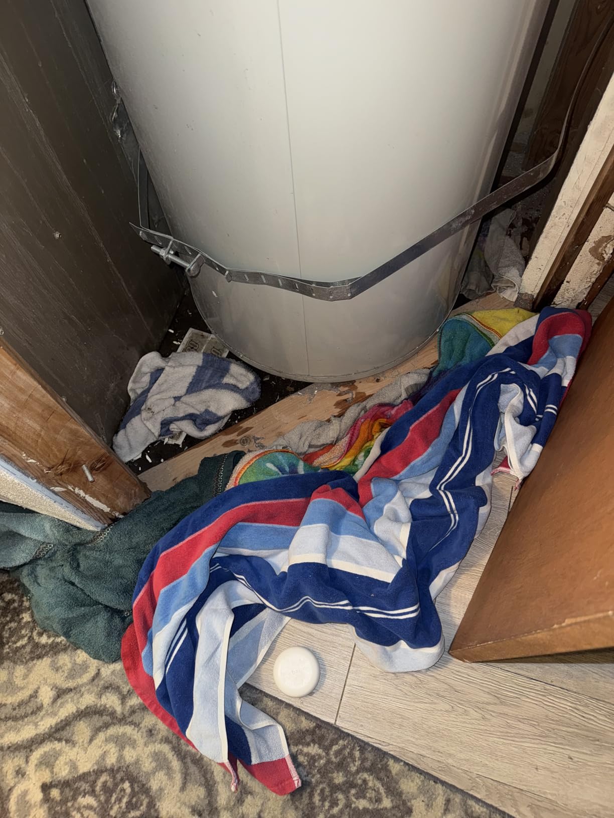 Ring Alarm Flood & Freeze Sensor | Protect from Water Damage & Frozen Pipes | Real-Time Alerts for Leaks & Low Temp | Base Station Required customer photo 1