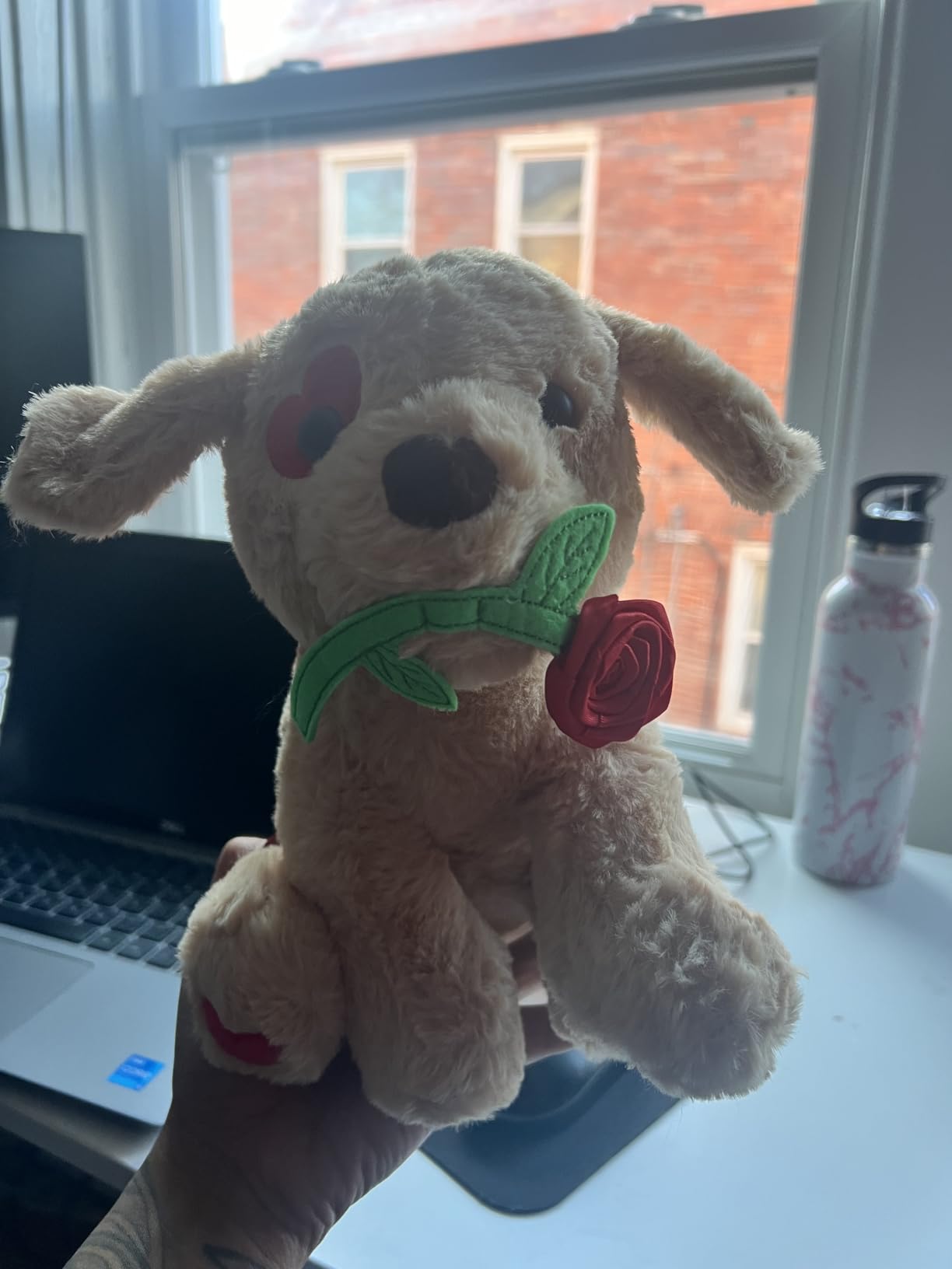 Valentines Day Gifts for Her: 10 inch Funny Cute Plush Dog with Rose for Wife Fiancée Girlfriend Women Mom Kids Naughty Valentine's Stuffed Animals Romantic Gifts for Birthday Wedding Anniversary Xmas - Customer Photo 1