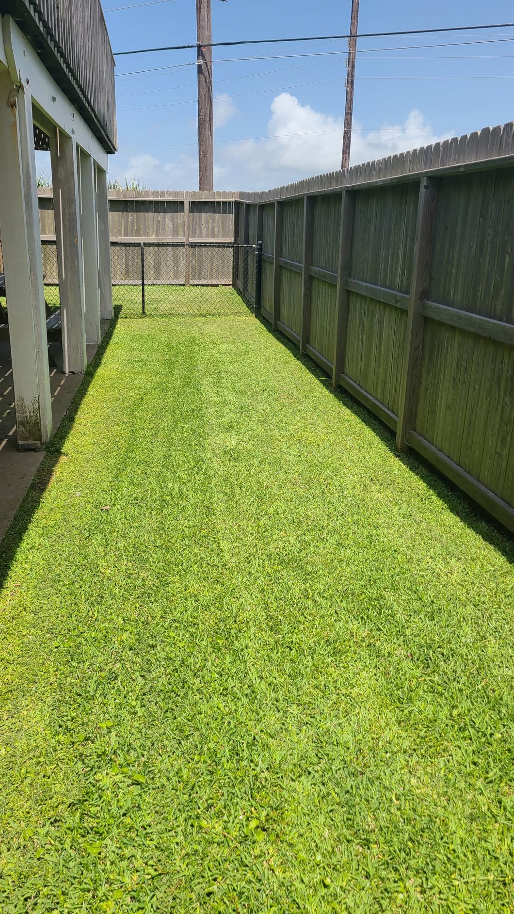 EGO Power+ Electric Lawn Mower, Self-Propelled Cordless with Touch Drive, Includes 56V 7.5Ah Battery and Rapid Charger - LM2125SP customer photo 2