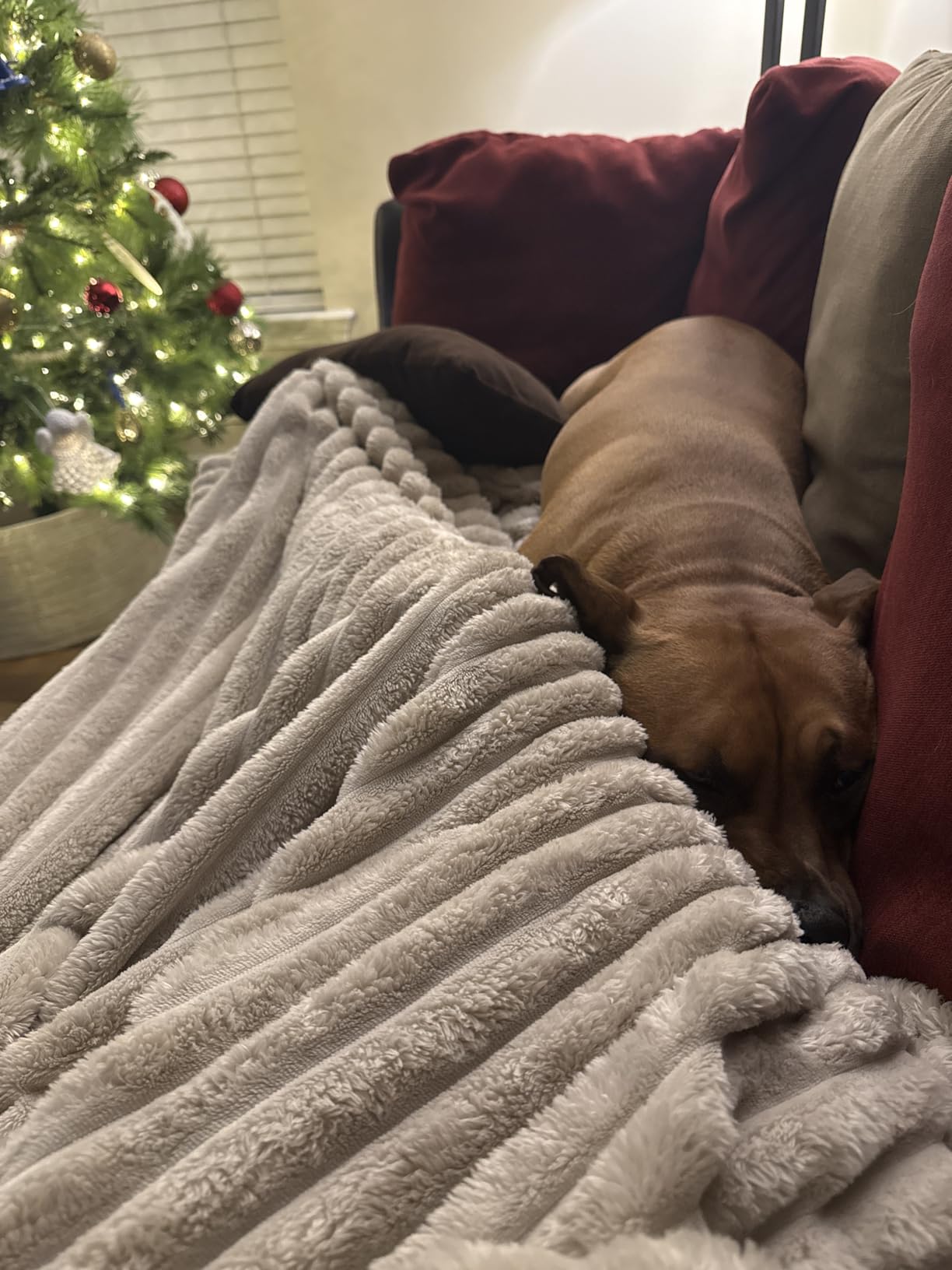 Bedsure GentleSoft White Throw Blanket for Couch - Cozy Fleece Throw Blanket for Women Girls, Valentines Day Gifts for Her Him, Birthday Gifts for Women, Room Home Boho Decor, Off White, 50x60 Inches - Customer Photo 1