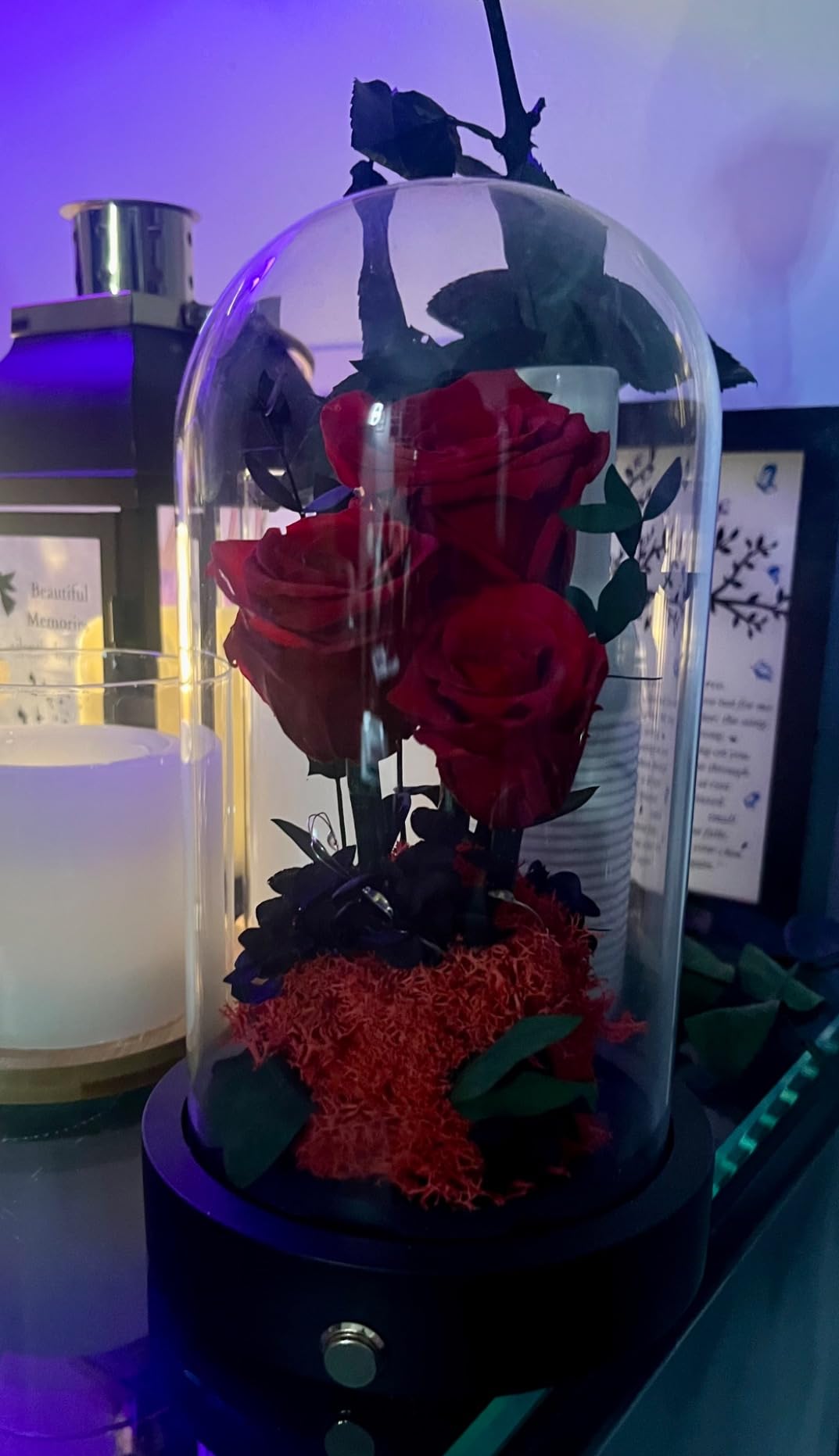 Valentines Day Flowers Roses Gifts for Her,Forever Real Preserved Roses in Glass Dome,Valentines Day Anniversary Birthday Gifts for Wife Girlfriend Women Mom Best Friend Her/Purple Rose - Customer Photo 1