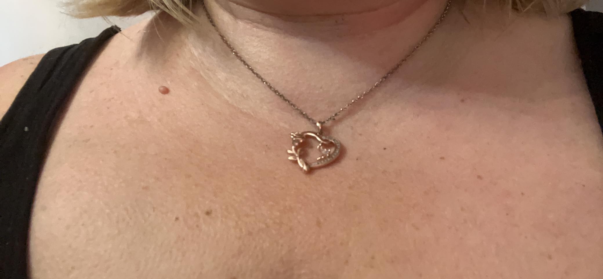 Heart Necklace for Women Sterling Silver/14k Gold Plated/Rose Gold CZ Romantic Rose and Butterfly Jewelry for women Birthday Valentine's Day Gift for Girls - Customer Photo 1