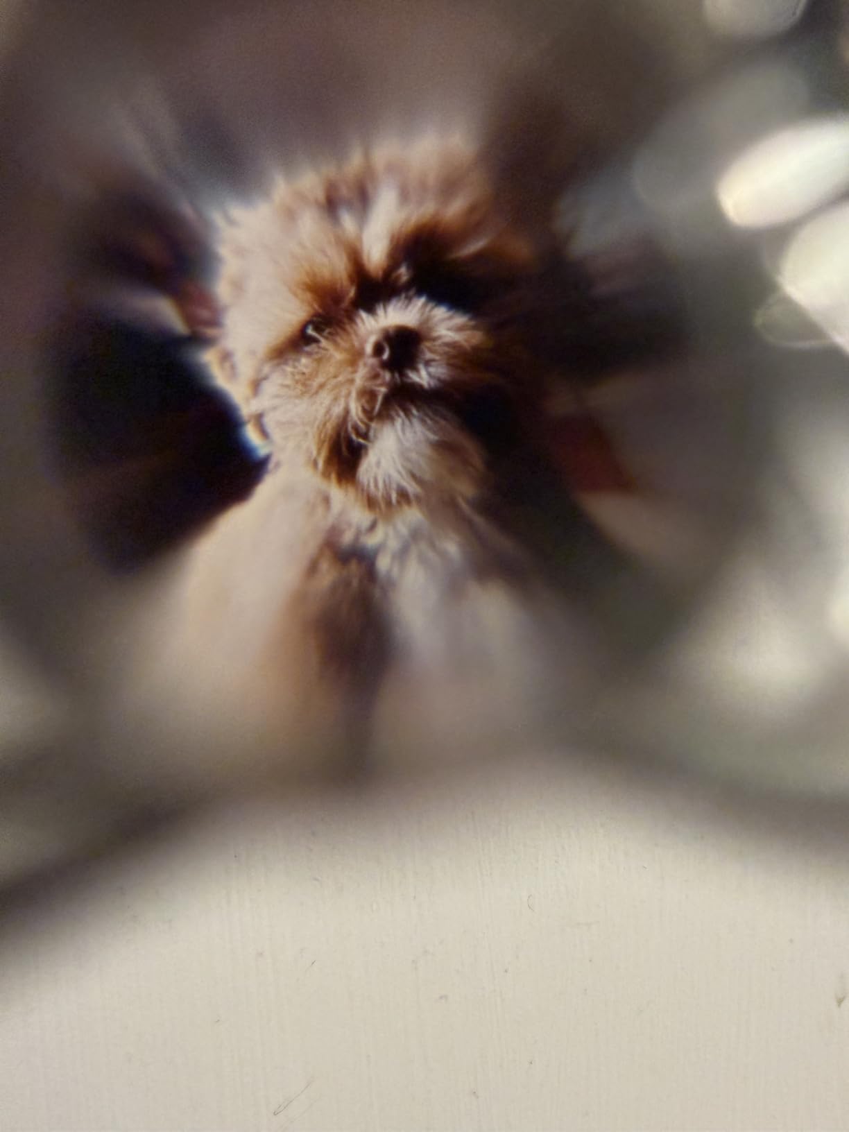 Easycosy Personalized Picture Necklace Projection Necklace with Photo Inside - Custom Photo Heart Pendant Necklace - Photo Gifts Valentines Day Birthday Love Memorial Gifts for Girlfriend Wife Women - Customer Photo 1