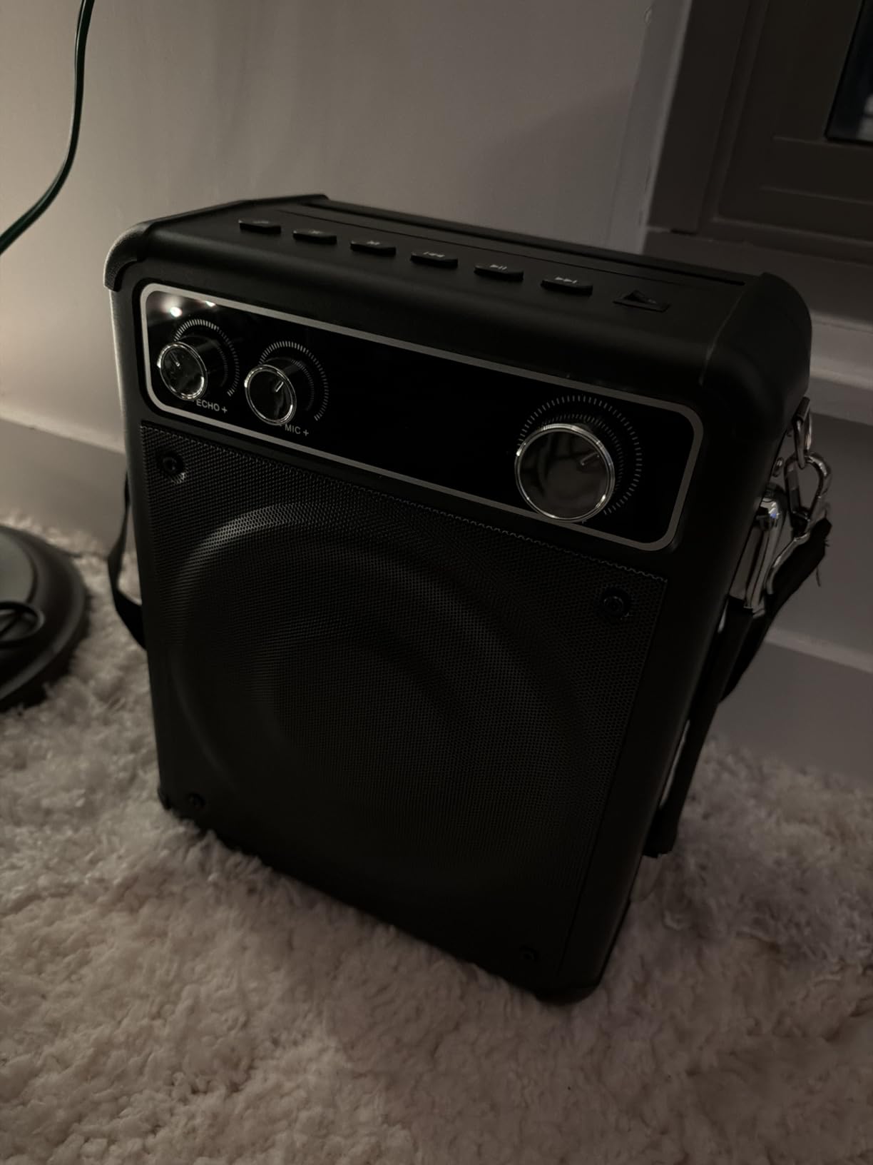 Karaoke Machine, Portable Bluetooth Karaoke Speaker with 2 Wireless Microphones, PA System for Adults Kids with LED Lights & Echo Adjustment, Supports TWS/TF/USB/AUX for Home Party customer photo 2