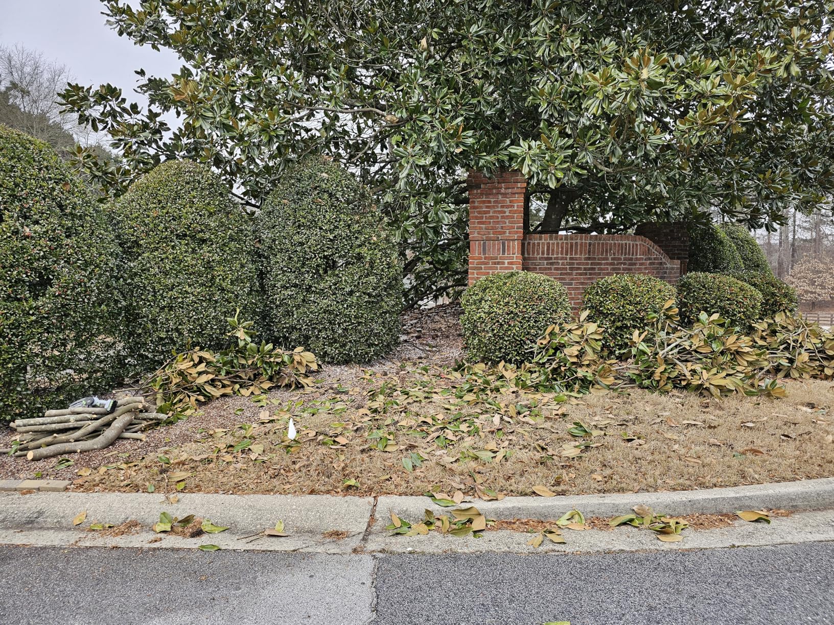 Mini Chainsaw Cordless,6 Inch Portable Electric Chainsaw with Automatic Oiler/Security Lock/Battery Powered Small Handheld Saw for Trees Branches Trimming,Wood Cutting, Gifts for Men Women customer photo 1