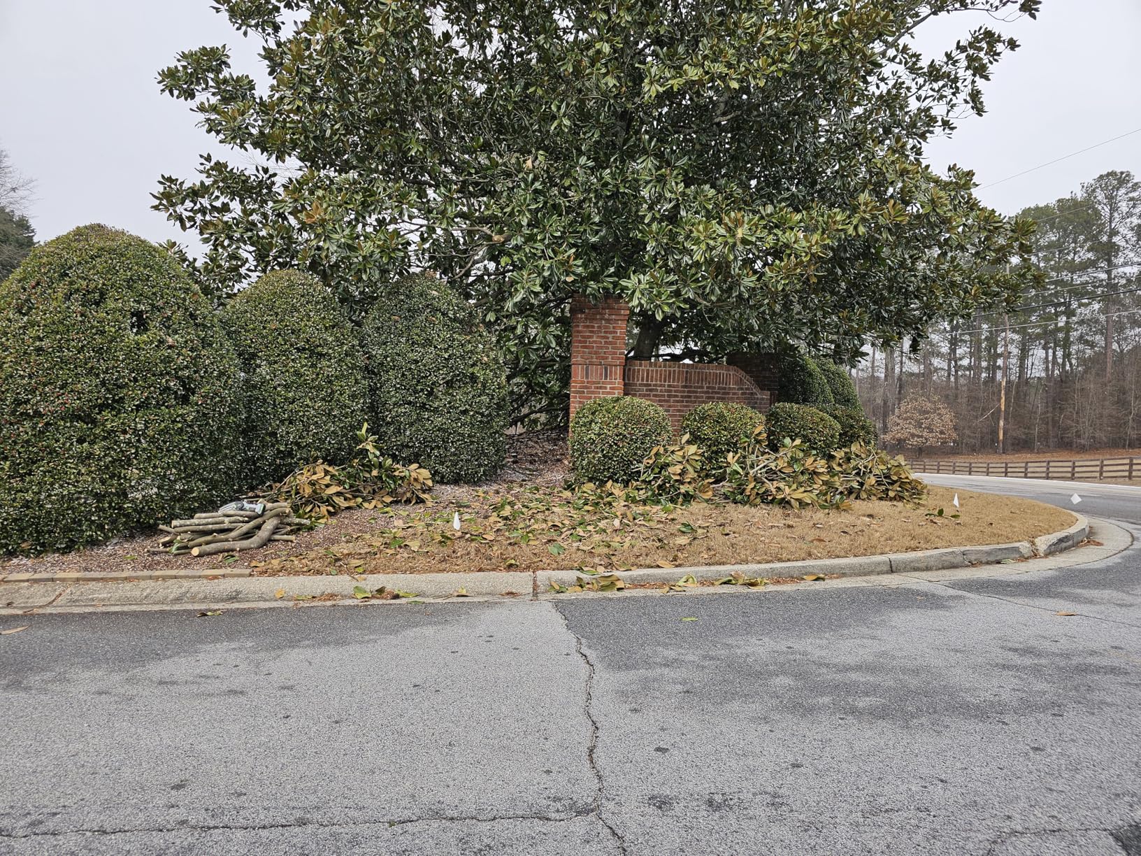 Mini Chainsaw Cordless,6 Inch Portable Electric Chainsaw with Automatic Oiler/Security Lock/Battery Powered Small Handheld Saw for Trees Branches Trimming,Wood Cutting, Gifts for Men Women customer photo 2