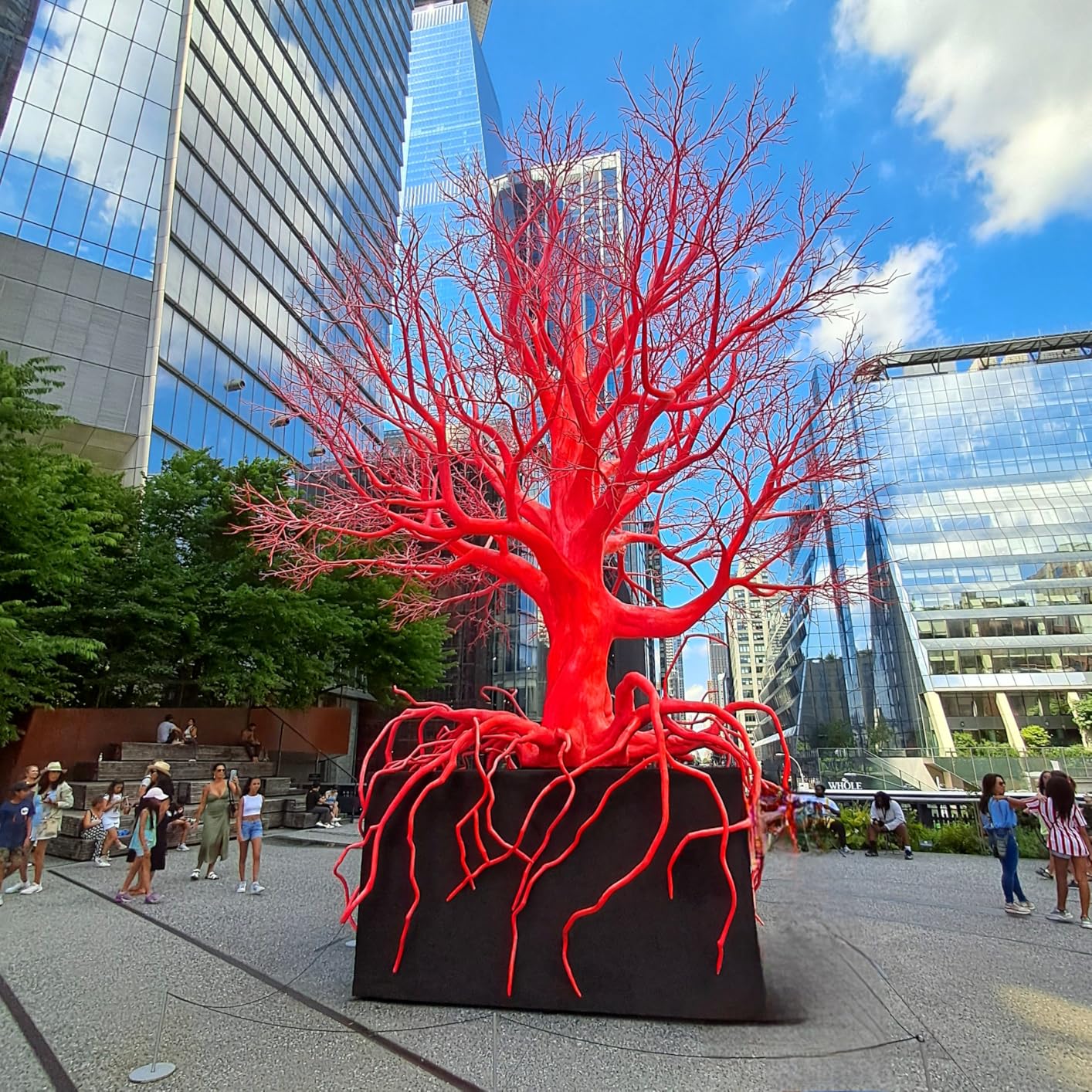 Galaxy A25 5G A256E 128GB Dual-SIM GSM Unlocked Android Smartphone (Latin Variant/US Compatible LTE) - Blue Black customer photo 2