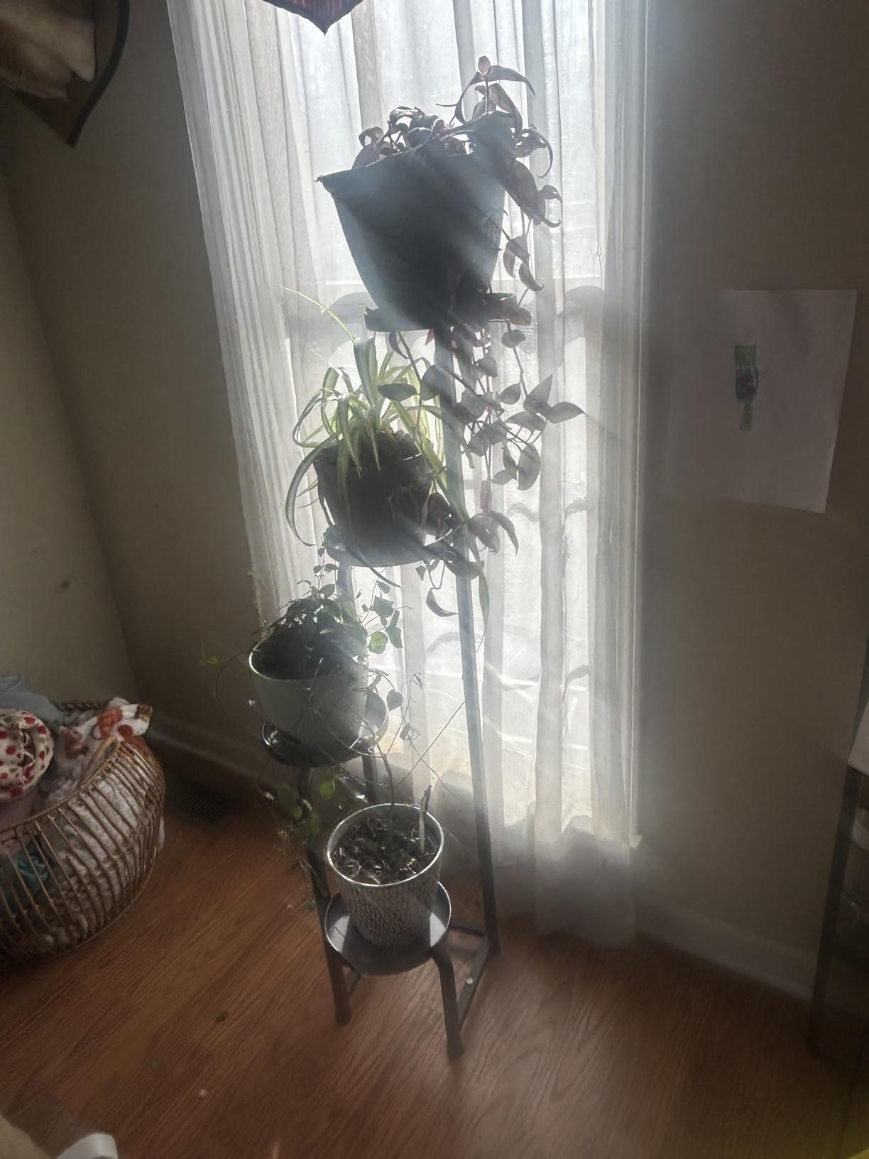 Bamworld Tall Plant Stand Indoor Outdoor, Corner Metal Flower Pot Stands for Multiple Plants, 4 Tier Heavy Duty Plant Shelf for Patio Garden Balcony Living Room Bedroom(Patent Design) customer photo 1