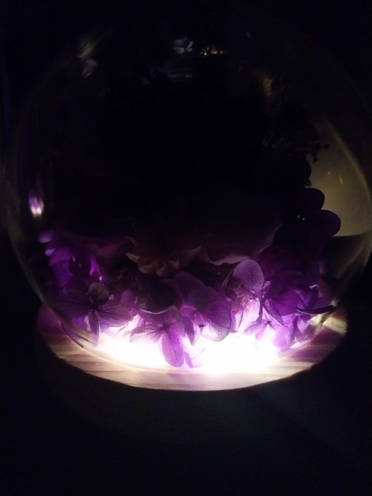 FIACO Gifts for Mom Women Valentines Day Birthday Preserved Flowers in Glass Dome Forever Flowers for Delivery Prime Long-Lasting Eternal Roses Gifts for Grandma Sister Daughter Wife Her Girlfriend - Customer Photo 3