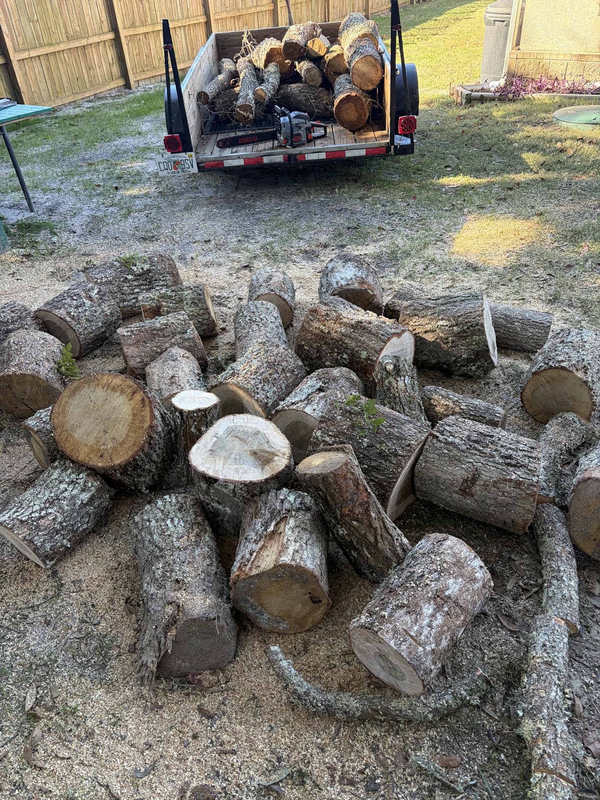 Gas Chainsaws 20 Inch 62CC Gas Powered Chainsaw 3.4HP 2 Stroke Engine Gas Power Chain Saw for Cutting Wood Outdoor Garden Farm Home customer photo 2