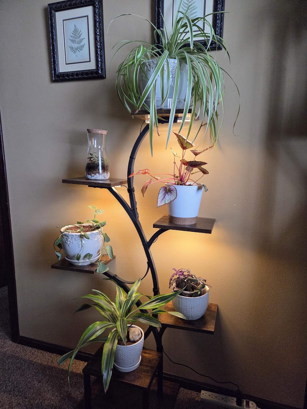 BACEKOLL Plant Stand Indoor with Grow Light, 7 Tier 49