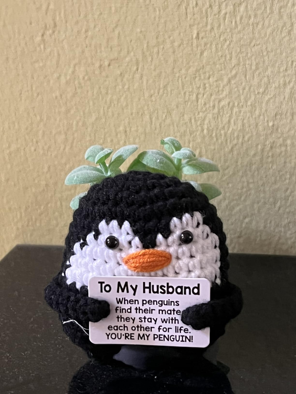 Valentines Day Gifts for Him Her, To My Love Handmade Crochet Mini Penguin Anniversary Birthday Gift for Boyfriend Girlfriend Wife Husband, Romantic I Love You Valentines Gifts for Women Men Couple - Customer Photo 1
