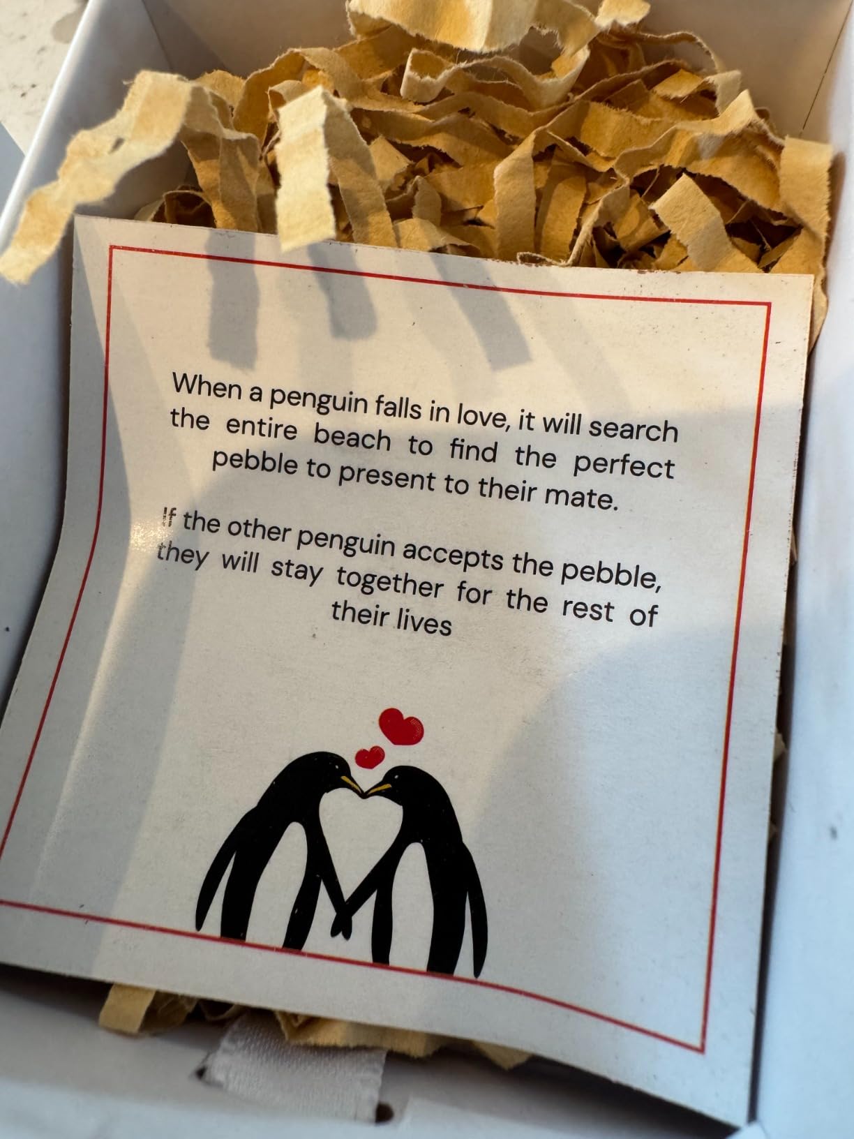 Long Distance Relationship Gift – Penguin Pebble – I Love You Gift for Couples, Boyfriend, Girlfriend, Husband or Wife – Cute Relationship Keepsake for Anniversaries, Valentine's Day, or Just Because Customer Review Long Distance Relationship Gift – Penguin Pebble – I Love You Gift for Couples, Boyfriend, Girlfriend, Husband or Wife – Cute Relationship Keepsake for Anniversaries, Valentine's Day, or Just Because - Customer Photo 2