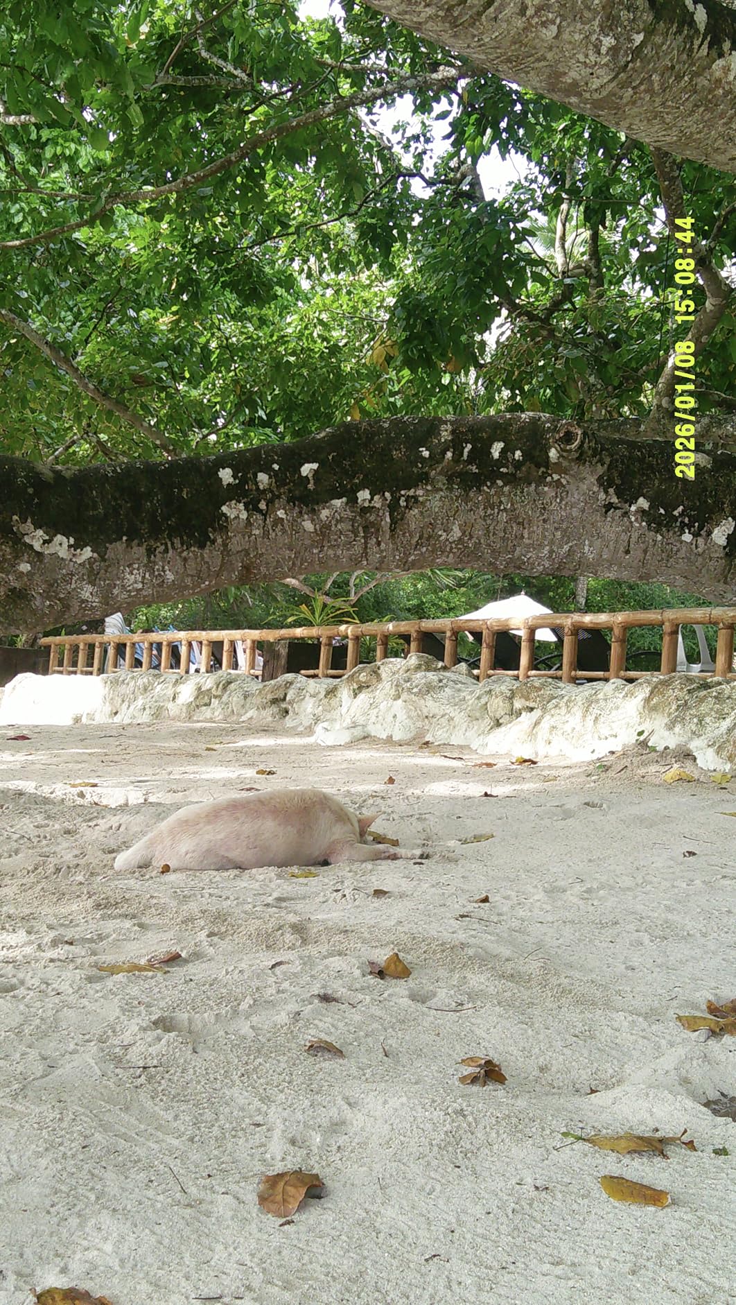 4K Digital Camera for Photography with WiFi 64MP Auto-Focus Vlogging Camera for YouTube Video 3'' 180° Flip Screen 4K Cameras 16X Zoom Anti-Shake Compact Point and Shoot Cameras with SD Card customer photo 1