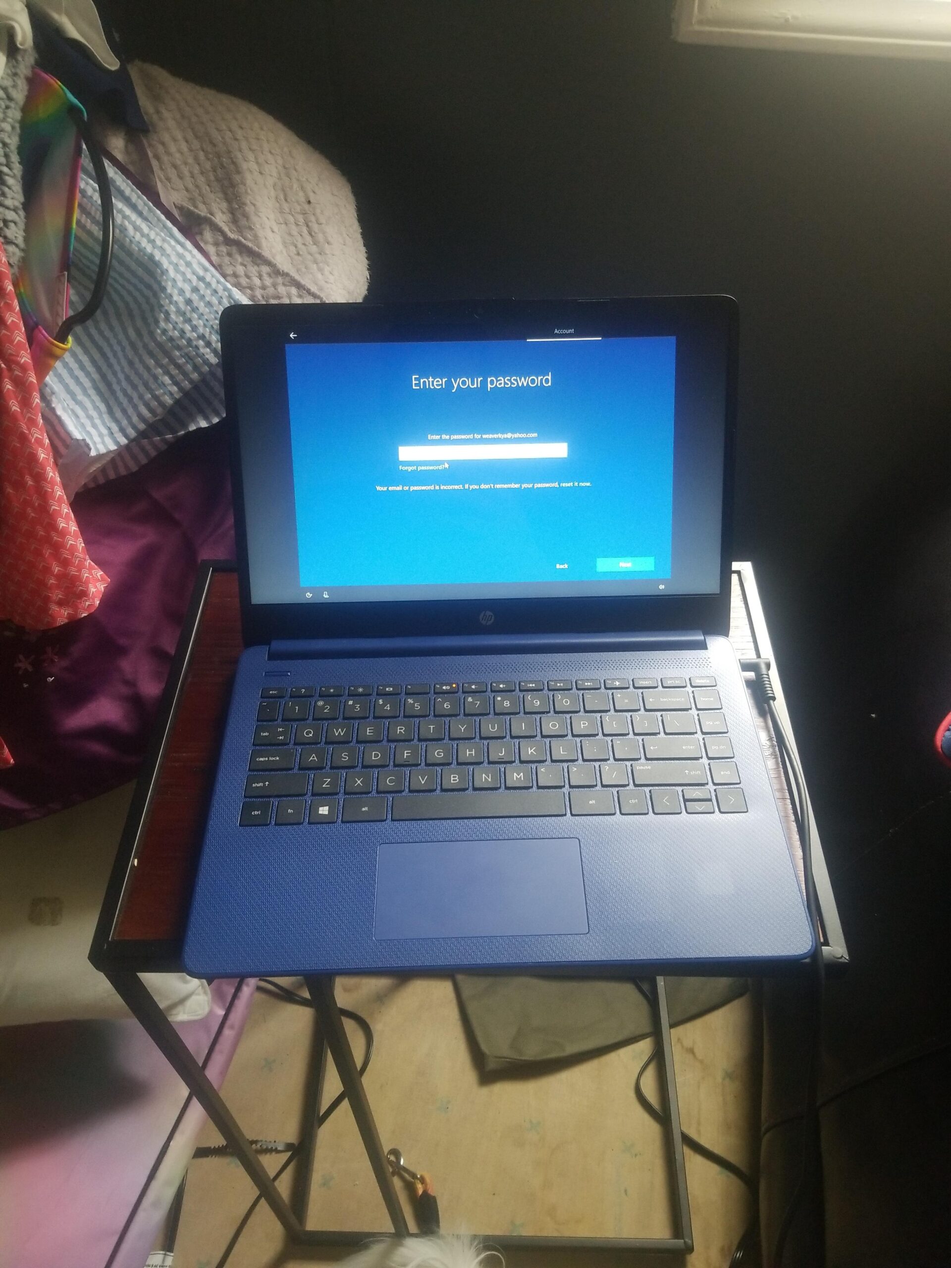 HP 17.3 inch Touchscreen Laptop, Intel Ultra 7 255U with Intel AI Boost (12 NPU Tops), 32 GB DDR5, 1 TB SSD, HD+ 250 nit Display, Copilot AI, Backlit KB, Long Battery, Windows11 Pro, w/Accessories customer photo 2