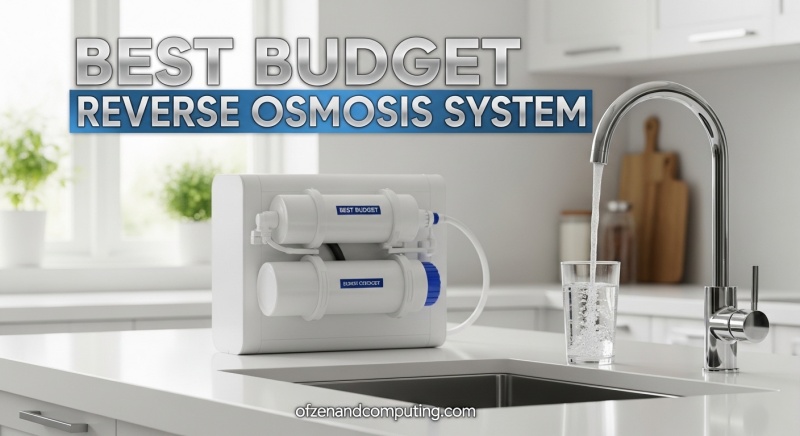 Best Budget Reverse Osmosis System