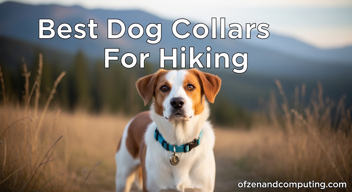 Best Dog Collars For Hiking