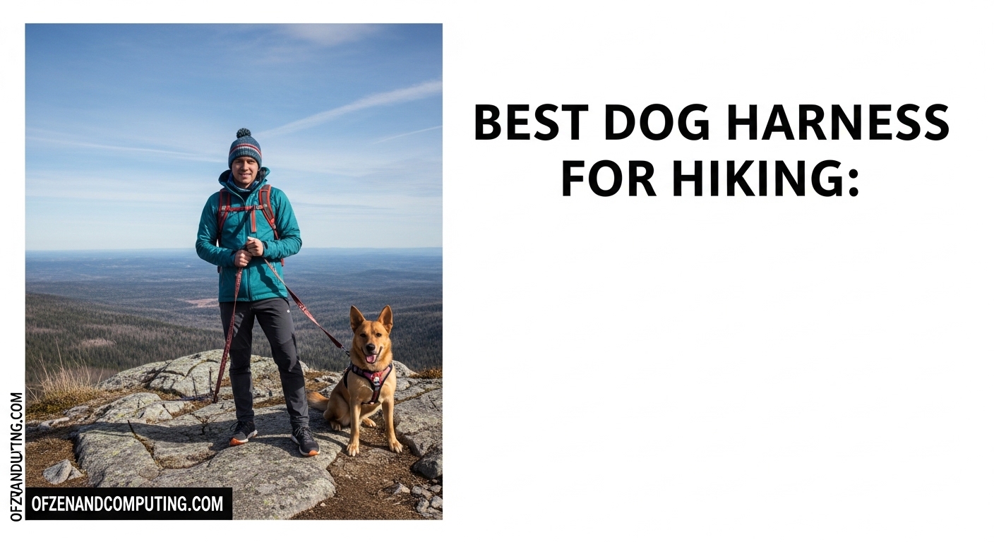 Best Dog Harness For Hiking