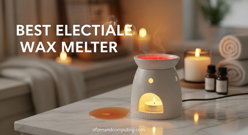 Best Electric Wax Melter