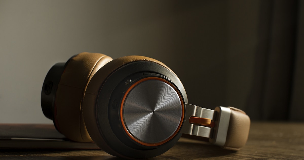 Camping With Dogs Essentials: 8 Must-Have Items for Safe Adventures - ofzenandcomputing