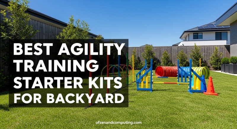 Agility Training Starter Kits for Backyard