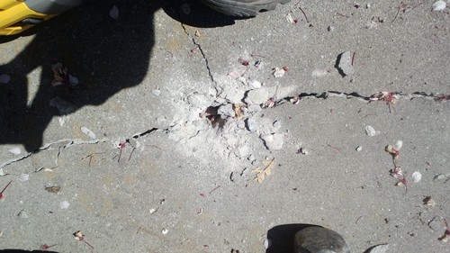 DEWALT Masonry Drill Bit Set, Percussion, 4-Piece (DW5204) customer photo 1